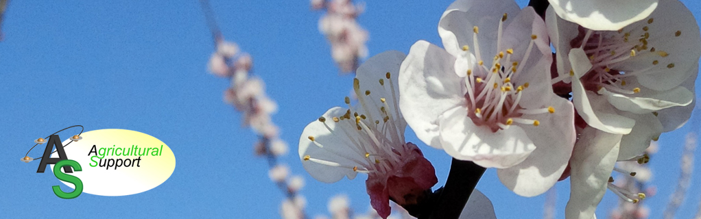 la Primavera è alle porte